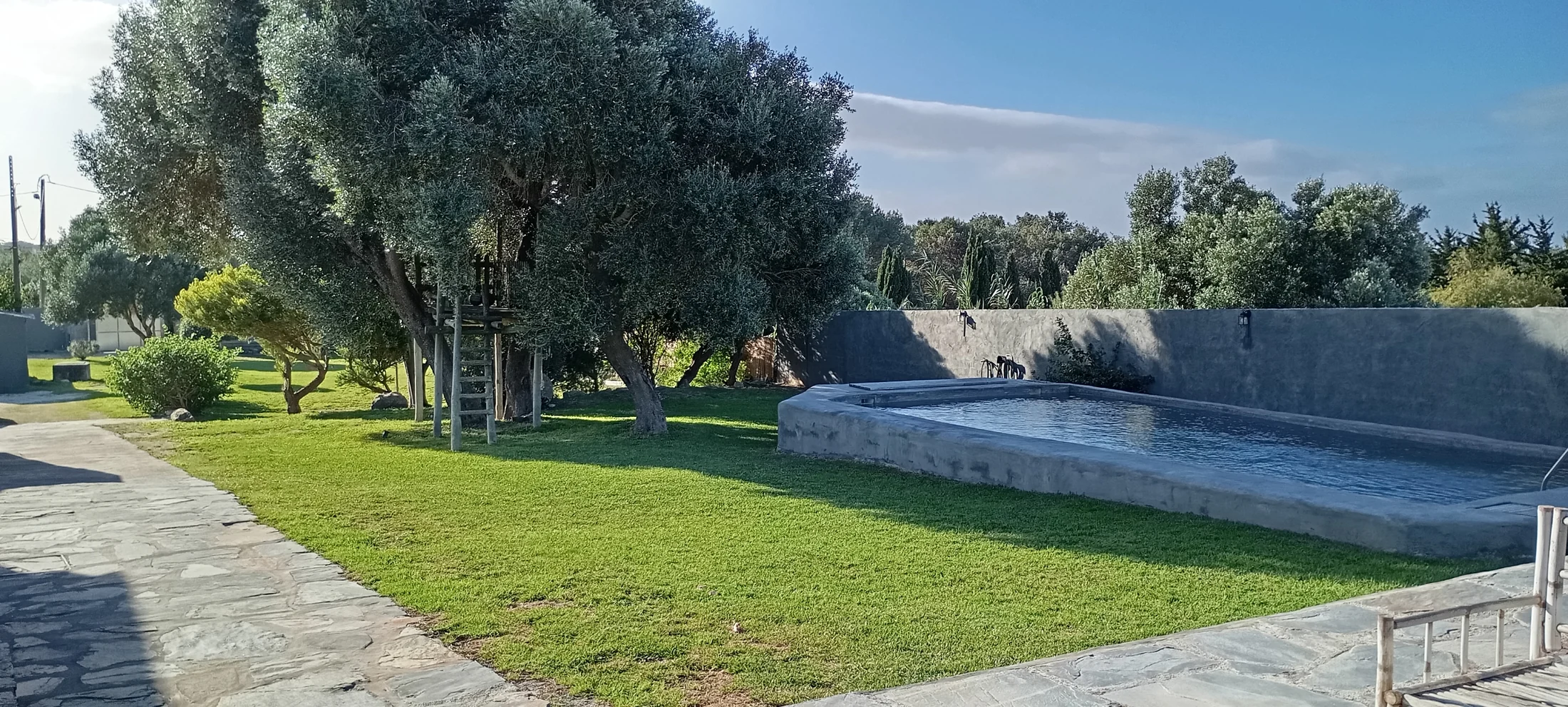 Garden and pool